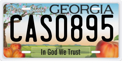 GA license plate CAS0895