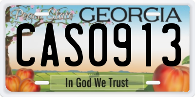 GA license plate CAS0913