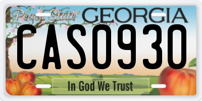 GA license plate CAS0930