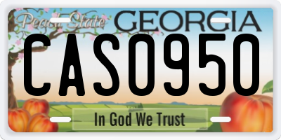 GA license plate CAS0950