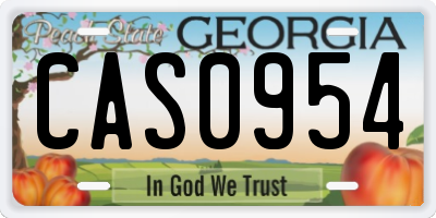 GA license plate CAS0954
