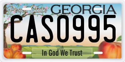 GA license plate CAS0995