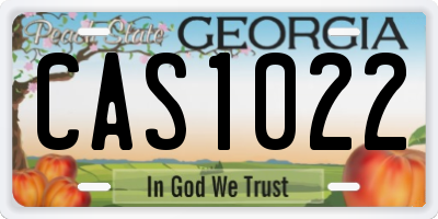 GA license plate CAS1022