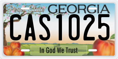 GA license plate CAS1025