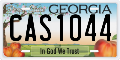 GA license plate CAS1044