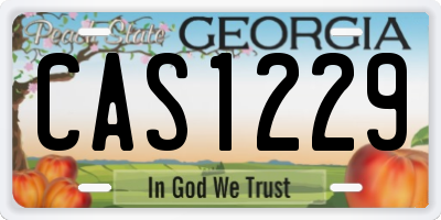 GA license plate CAS1229