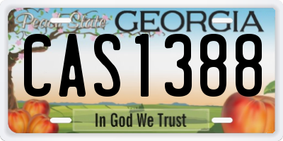 GA license plate CAS1388