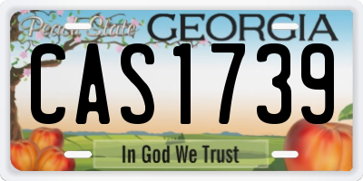 GA license plate CAS1739