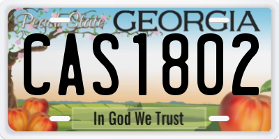 GA license plate CAS1802