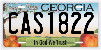 GA license plate CAS1822