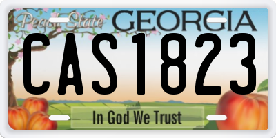 GA license plate CAS1823