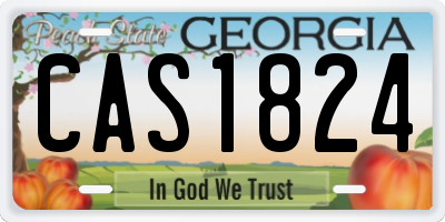 GA license plate CAS1824