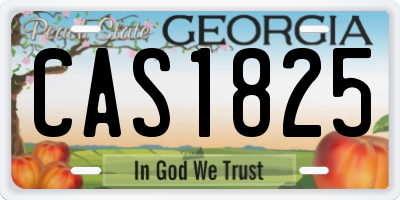 GA license plate CAS1825