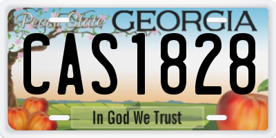GA license plate CAS1828