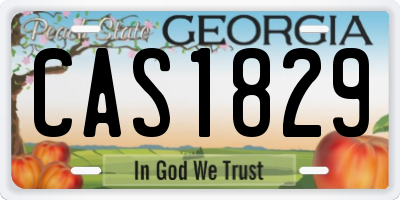 GA license plate CAS1829