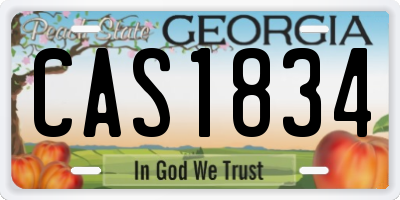 GA license plate CAS1834