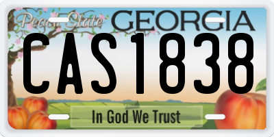 GA license plate CAS1838