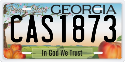 GA license plate CAS1873