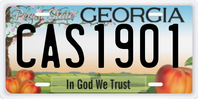 GA license plate CAS1901