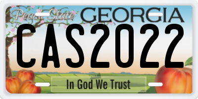 GA license plate CAS2022
