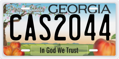 GA license plate CAS2044