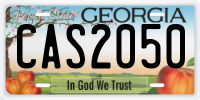 GA license plate CAS2050