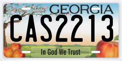 GA license plate CAS2213