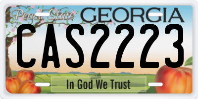 GA license plate CAS2223