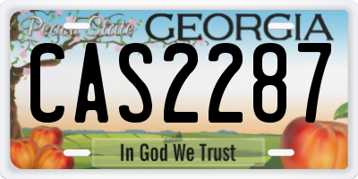 GA license plate CAS2287