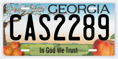 GA license plate CAS2289