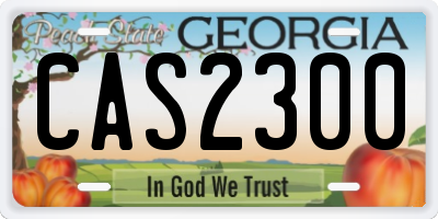 GA license plate CAS2300