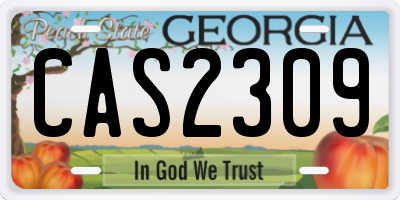 GA license plate CAS2309