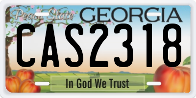 GA license plate CAS2318