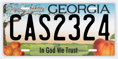 GA license plate CAS2324
