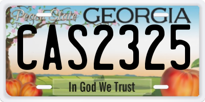 GA license plate CAS2325