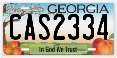 GA license plate CAS2334