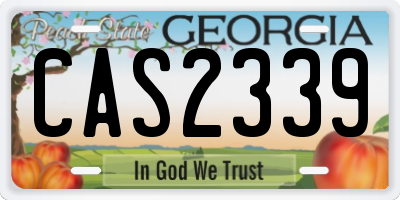 GA license plate CAS2339