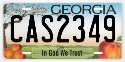 GA license plate CAS2349