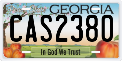 GA license plate CAS2380