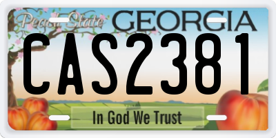 GA license plate CAS2381