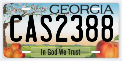 GA license plate CAS2388