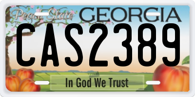 GA license plate CAS2389