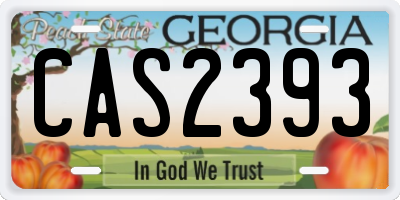 GA license plate CAS2393