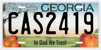 GA license plate CAS2419