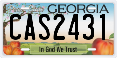 GA license plate CAS2431