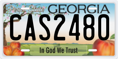GA license plate CAS2480