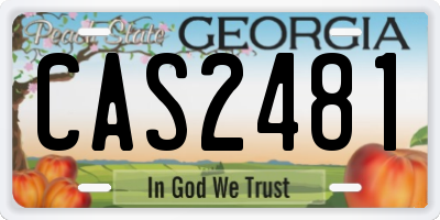 GA license plate CAS2481
