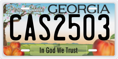 GA license plate CAS2503