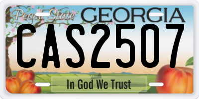 GA license plate CAS2507