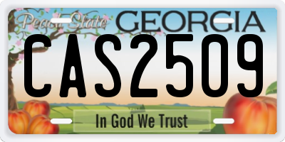 GA license plate CAS2509